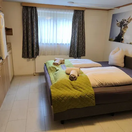 別荘 Haus Alpenliebe ピーゼンドルフ